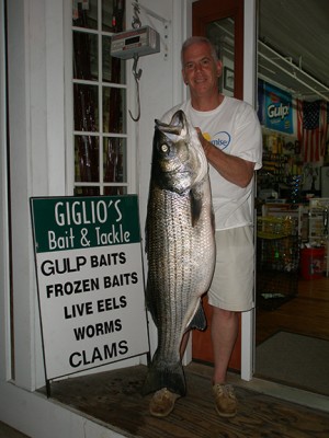 Bill Bertsch 42.8 pound striper Bill Bertsch 42.8 pound striped Bass weighed at Giglios Bait and Tackle 6 22 11 300x400 2011 Striper Cup Photos