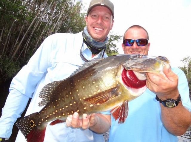 Halladay-peacock-bass Halladay peacock bass 640x477 The Fishin Phils