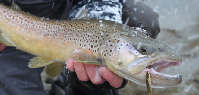 Fishing in the Snow