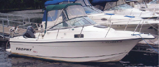 Image51390 fmt Classifieds