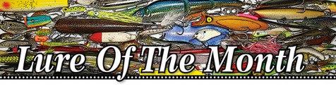 Lure of the Month