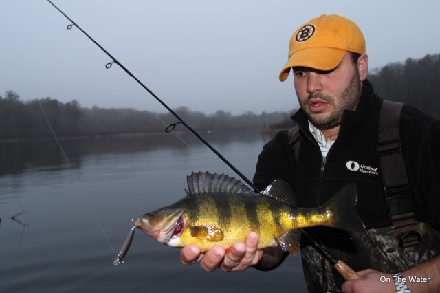 Monster Perch March2 640x426 2011 On The Water
