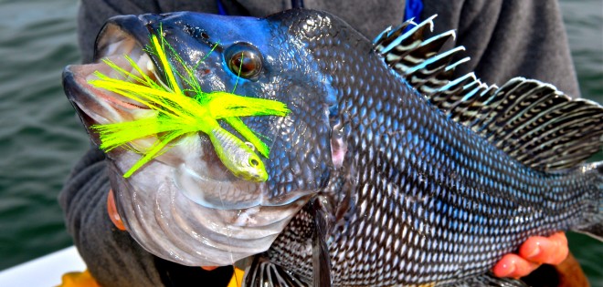 The FRESHEST <br/>Fishing Reports