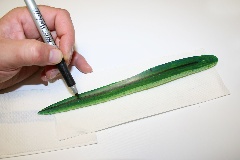step4 WEB EXTRA: The Hogy Holy Mackerel and other creations