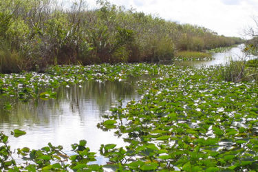 Everglades National Park