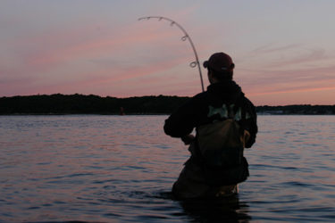 Five Plugs To Fake Out Summertime Stripers