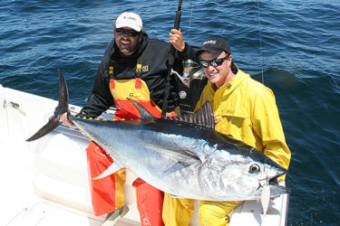 This big bluefin fell to a Sebile Stick Shadd
