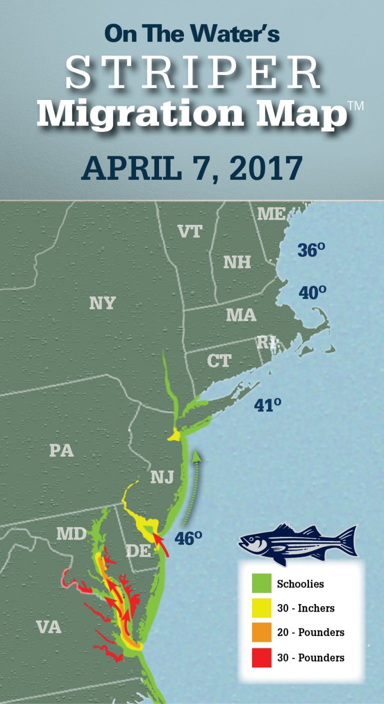 April 7 Striper Migration Map Fin and Field Blog