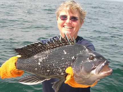 quonnie bait and tackle