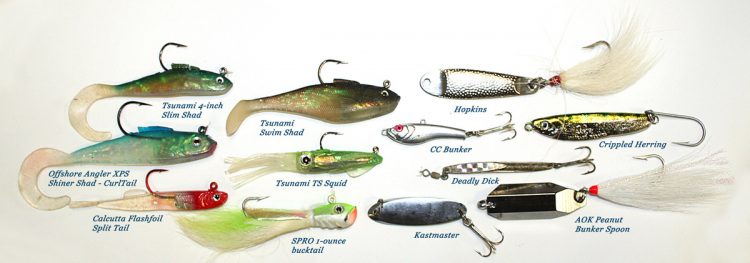 different types of bass baits