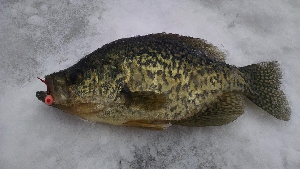 Hunting Hard Water Crappie - On The Water