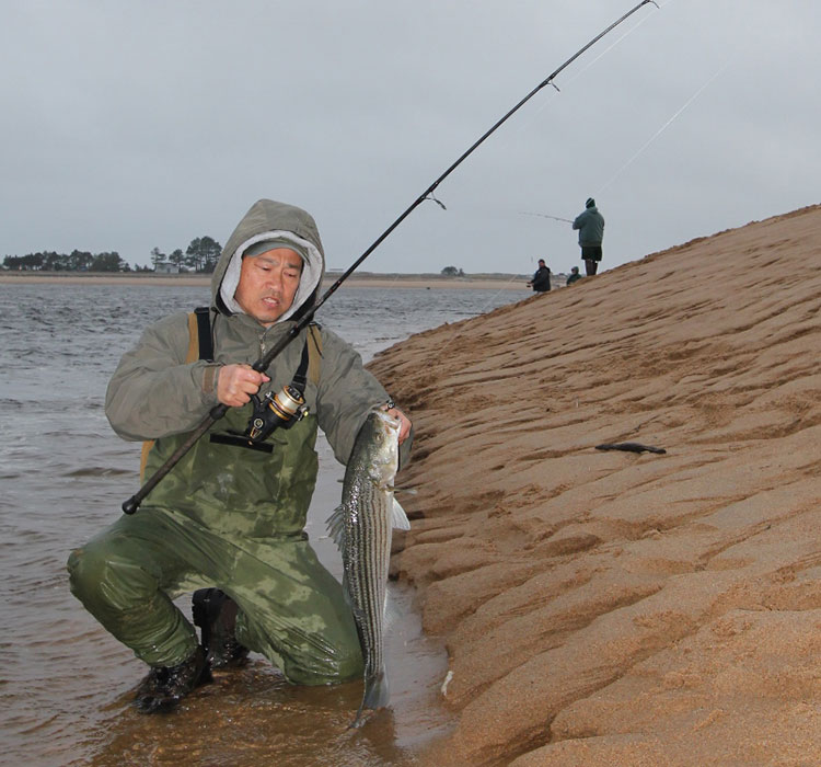 Massachusetts Fishing Report – May 21, 2015 - On The Water Massachusetts Fishing Report – May 21, 2015 - On The Water