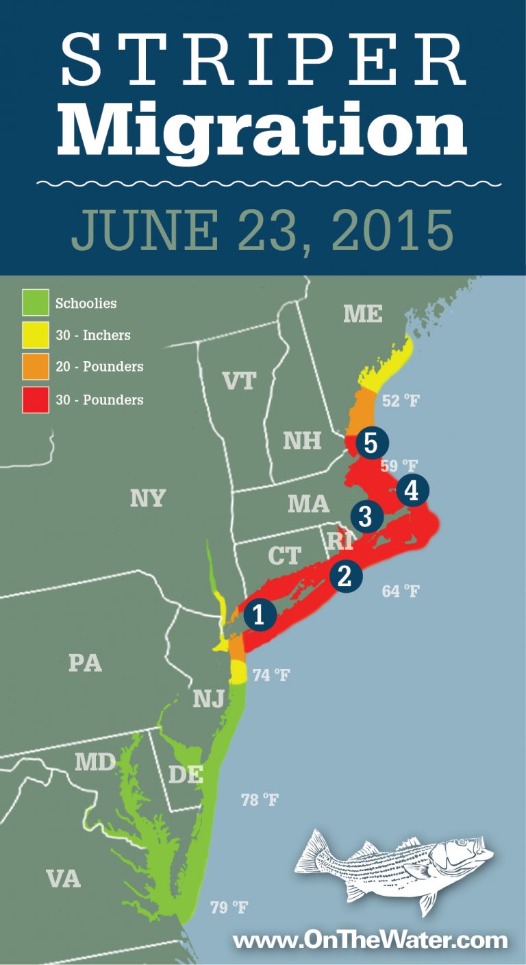 Striper Migration Map June 23, 2015 On The Water