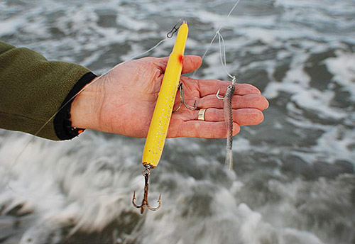 Tackle and Tactics: Imitating Fall Run Surf Baits for Striped Bass - The  Saltwater Edge