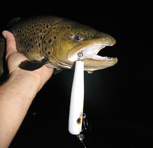 Big topwater plugs like this Tattoo Surface Swimmer can fool big fall browns.