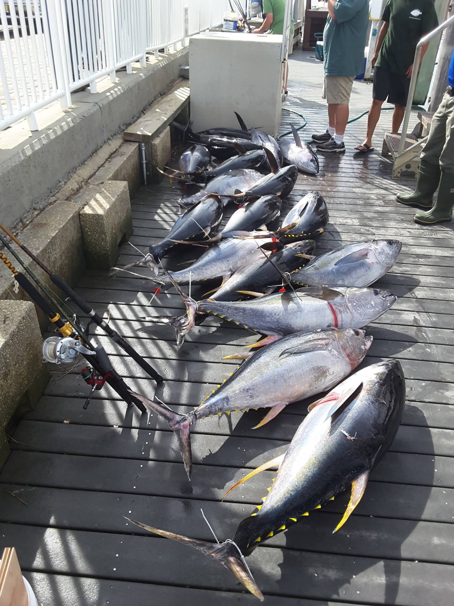 Southern New Jersey Fishing Report September 28 2017 On