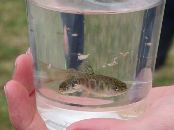 Pennsylvania Fishing Report – April 12, 2018 - On The Water