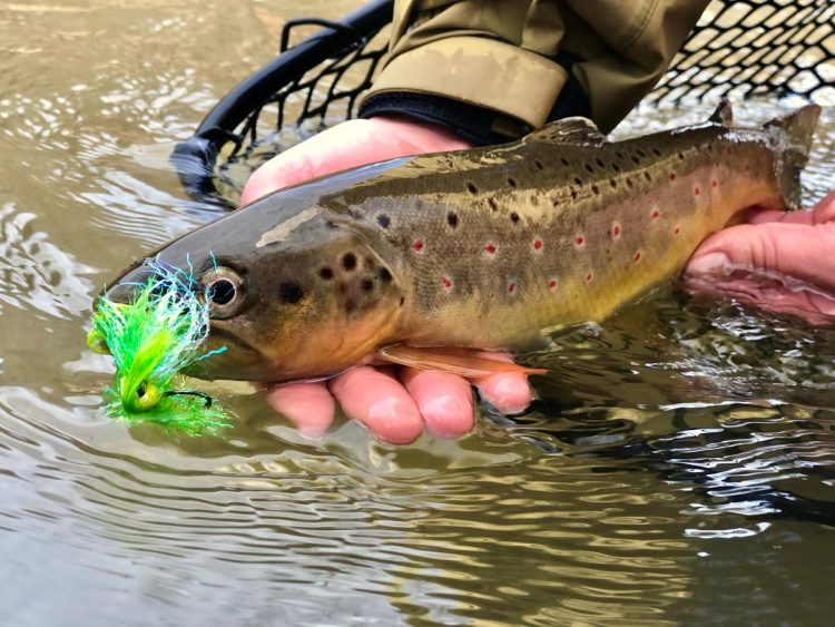 Pennsylvania Fishing Report January 3, 2019 On The Water
