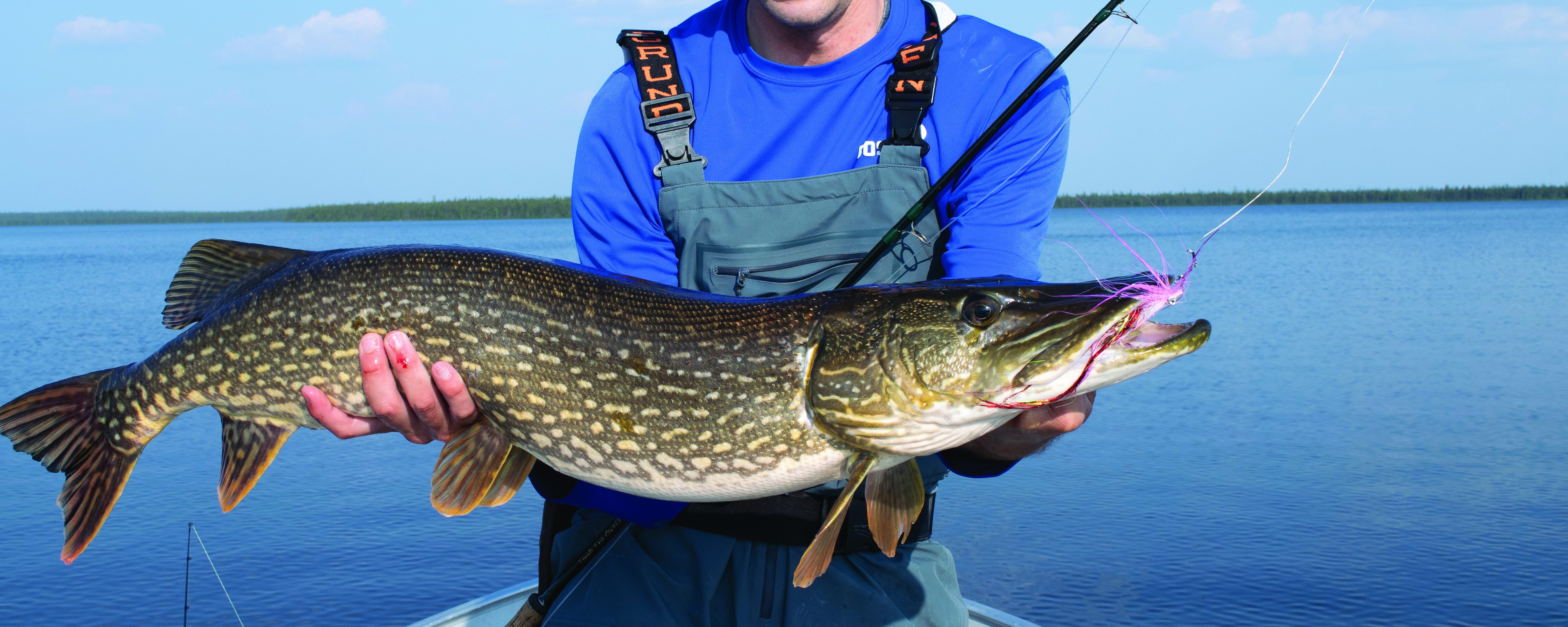 Saskatchewan Pike on the Fly - On The Water
