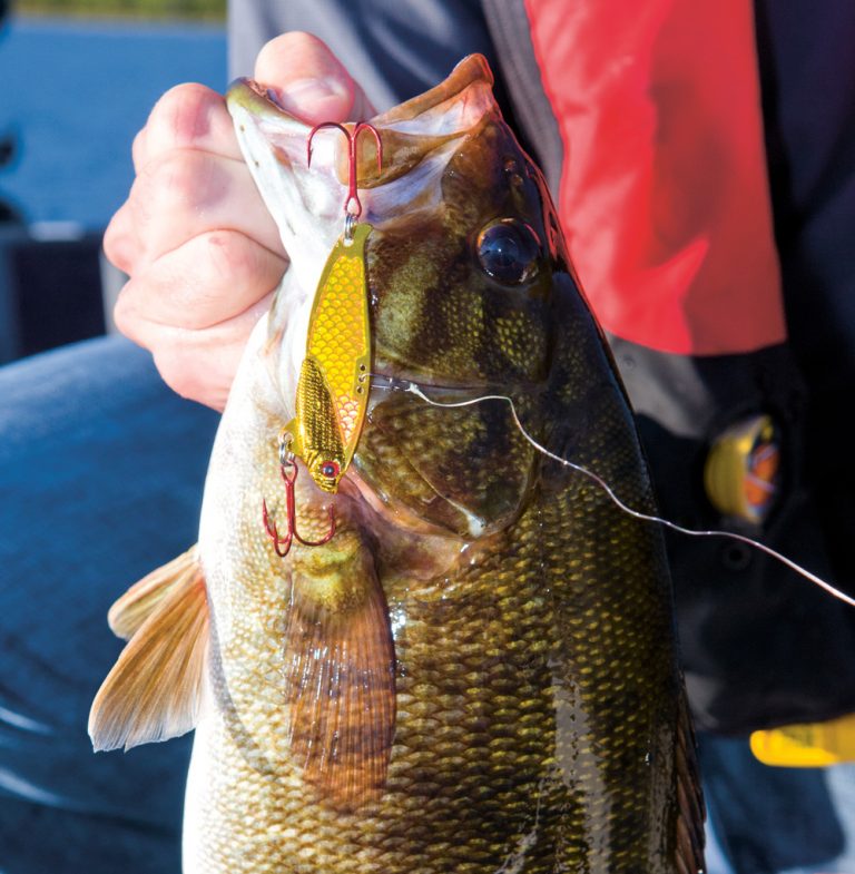 Metal Baits for Big Autumn Bass On The Water