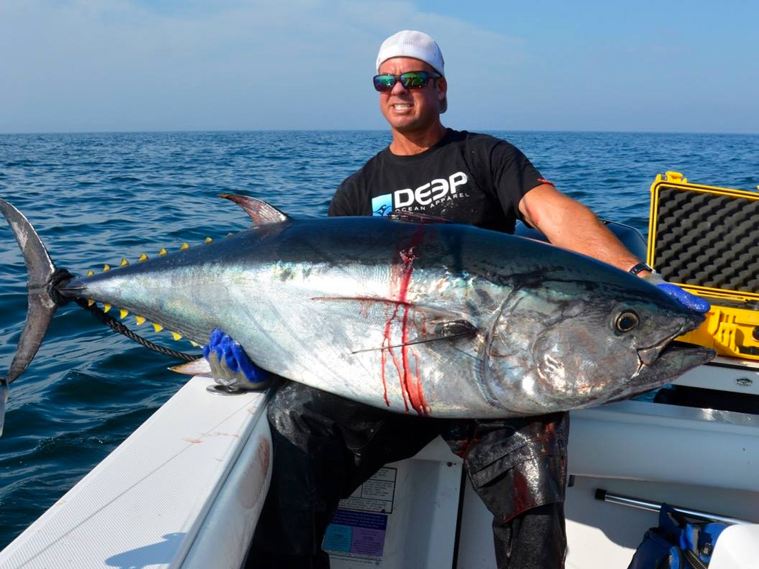 Bluefin Tuna Chunking - On The Water