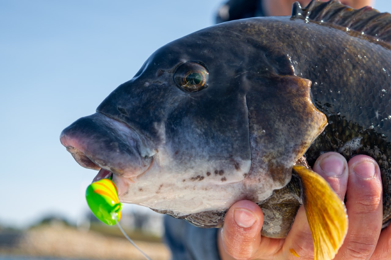 Southern New Jersey Fishing Report – April 6, 2023 - Vimarsana News
