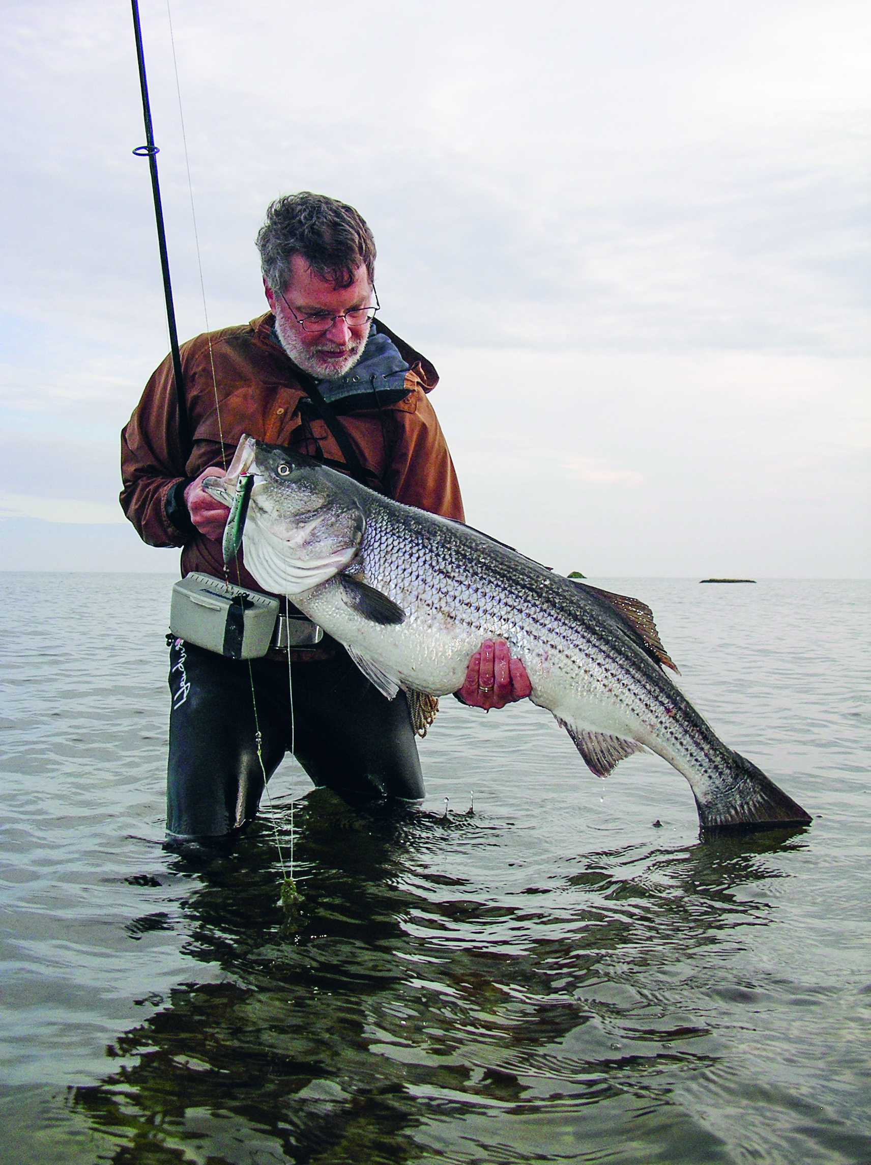 Striper Skills  Rocky Shorelines - On The Water