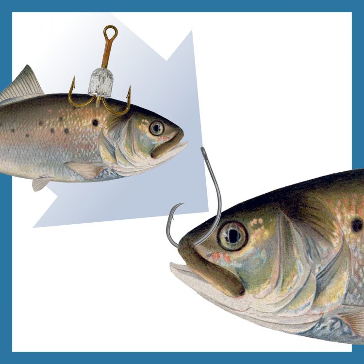 Hooks for Whole Fish and Strip Baits - The Fishing Website