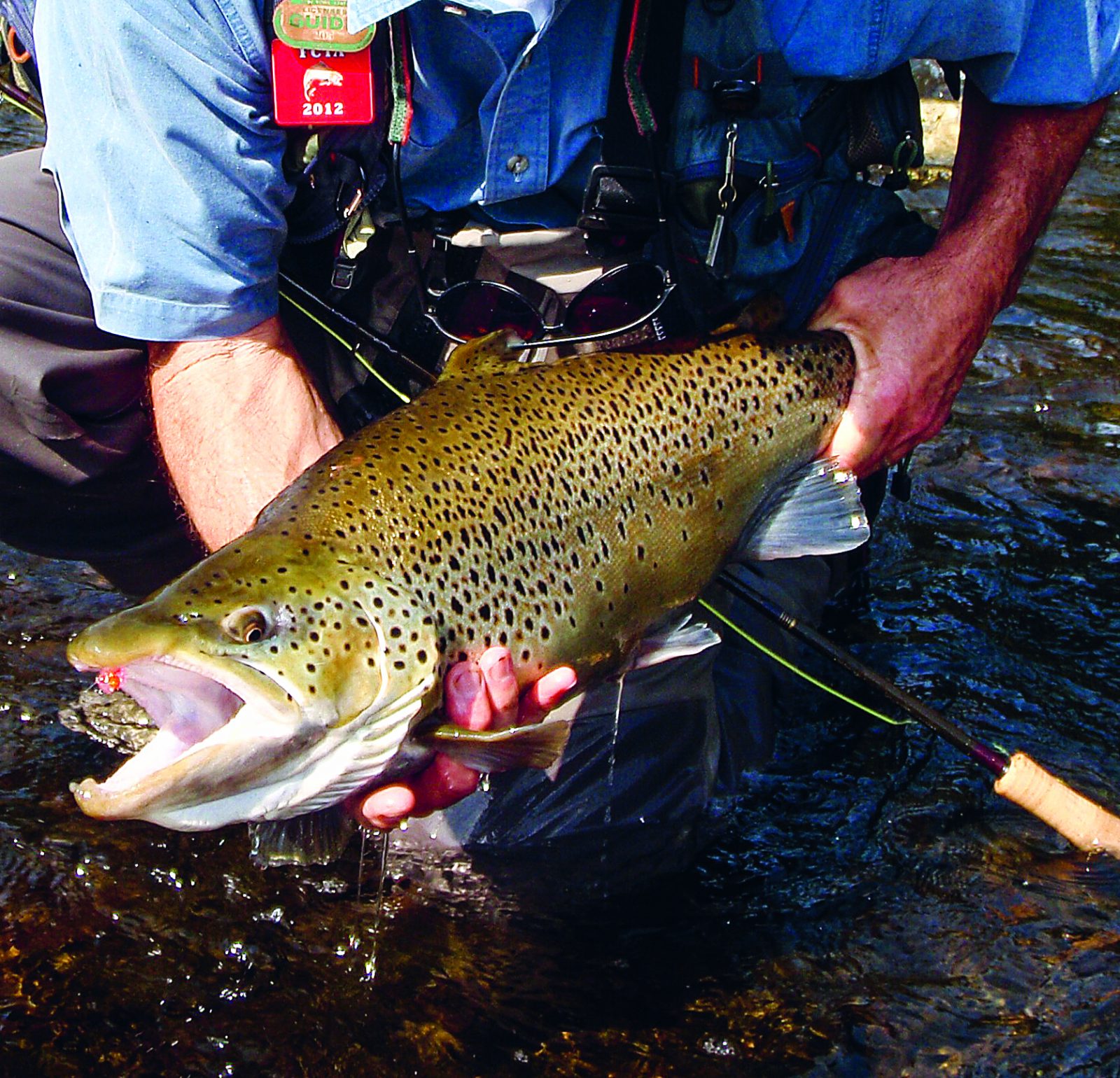 Tips to Catch Brown Trout in Upstate New York On The Water