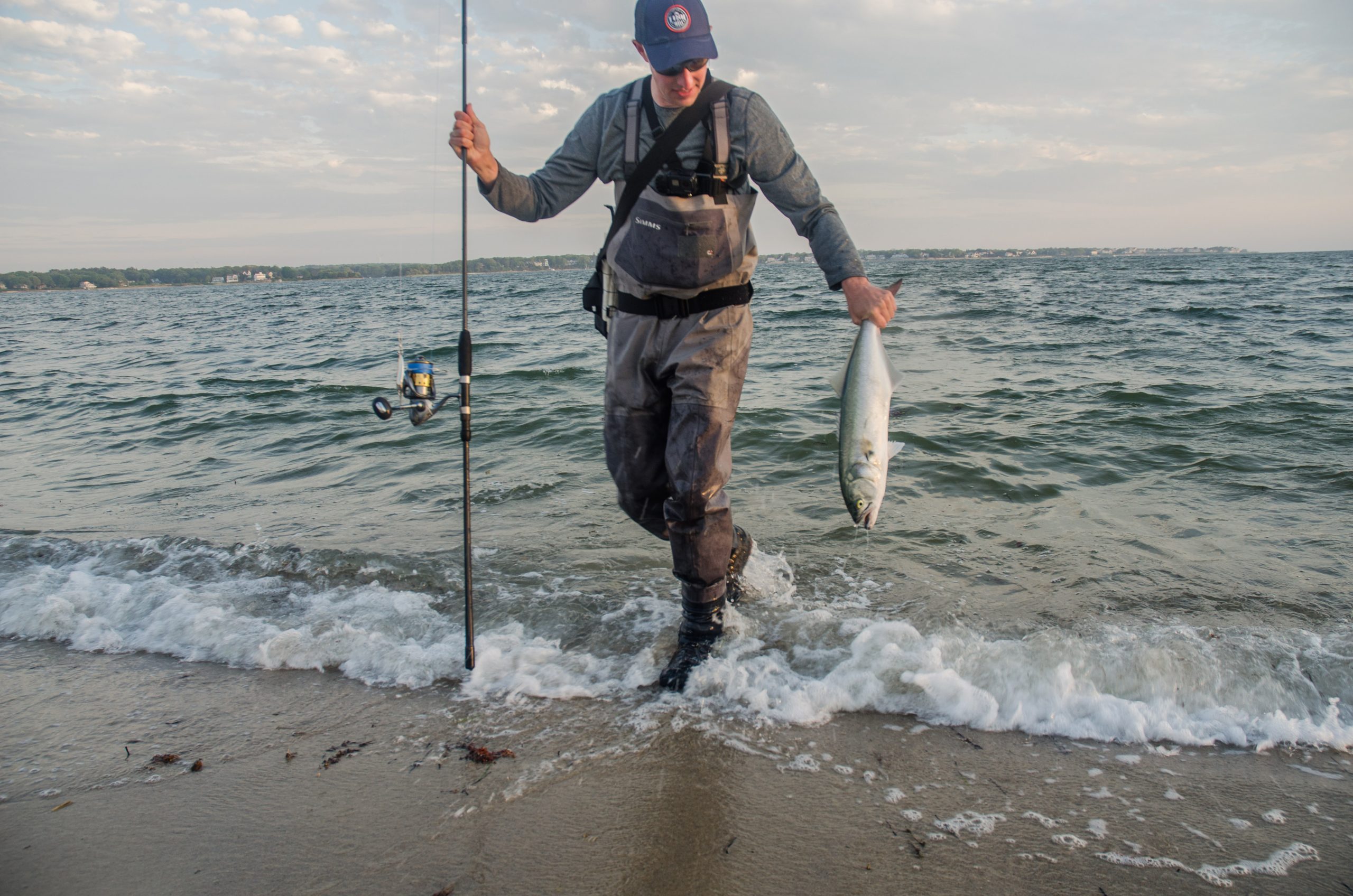 Gear and Tackle: Surf Fishing for Bluefish on Cape Cod | S18 E6 - Vimarsana News