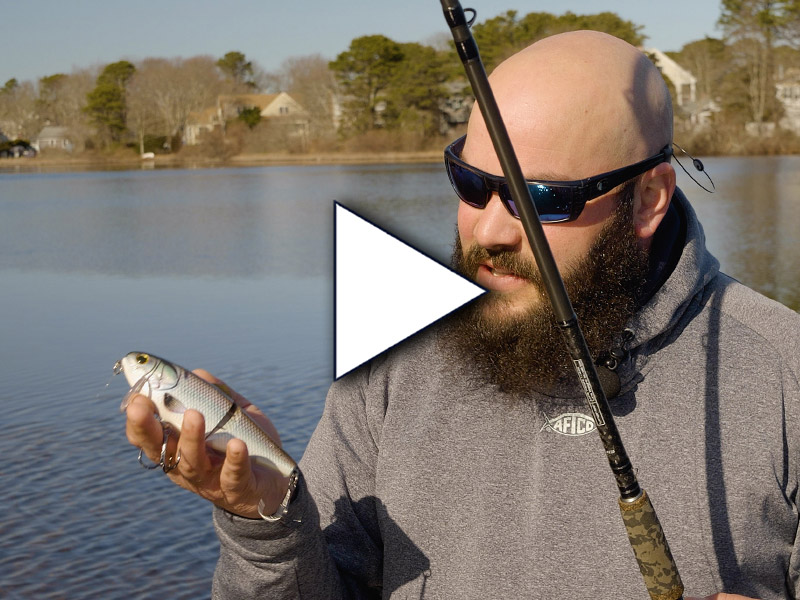 bio shad wake bait