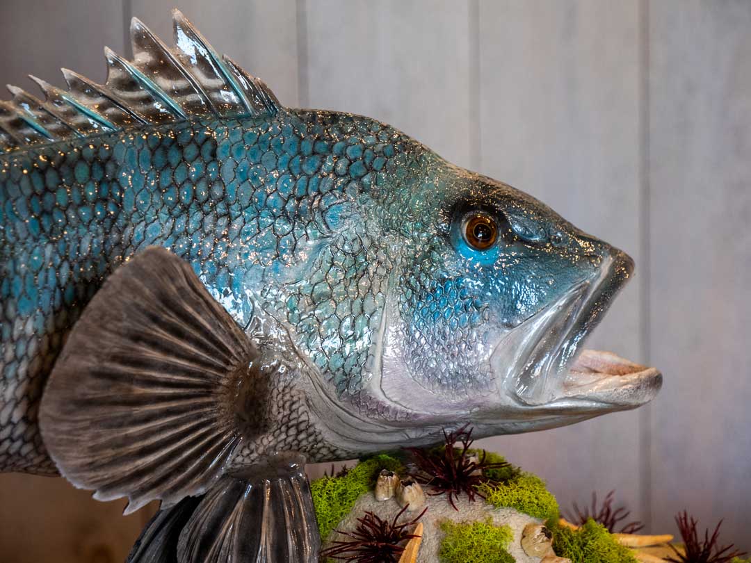 Turn Your Catch and Release Trophy Into a Work of Art On The Water