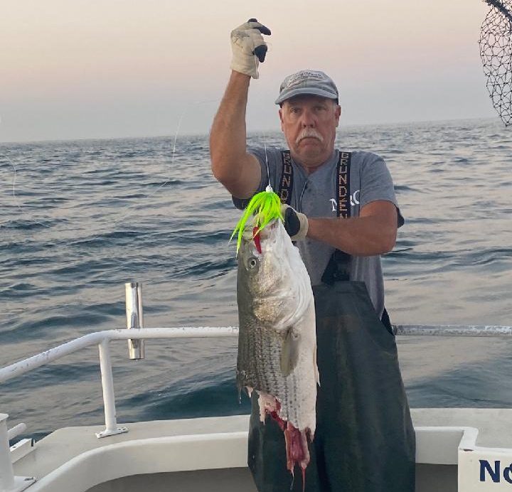 Congress Passes the SHARKED Act - On The Water - Vimarsana News