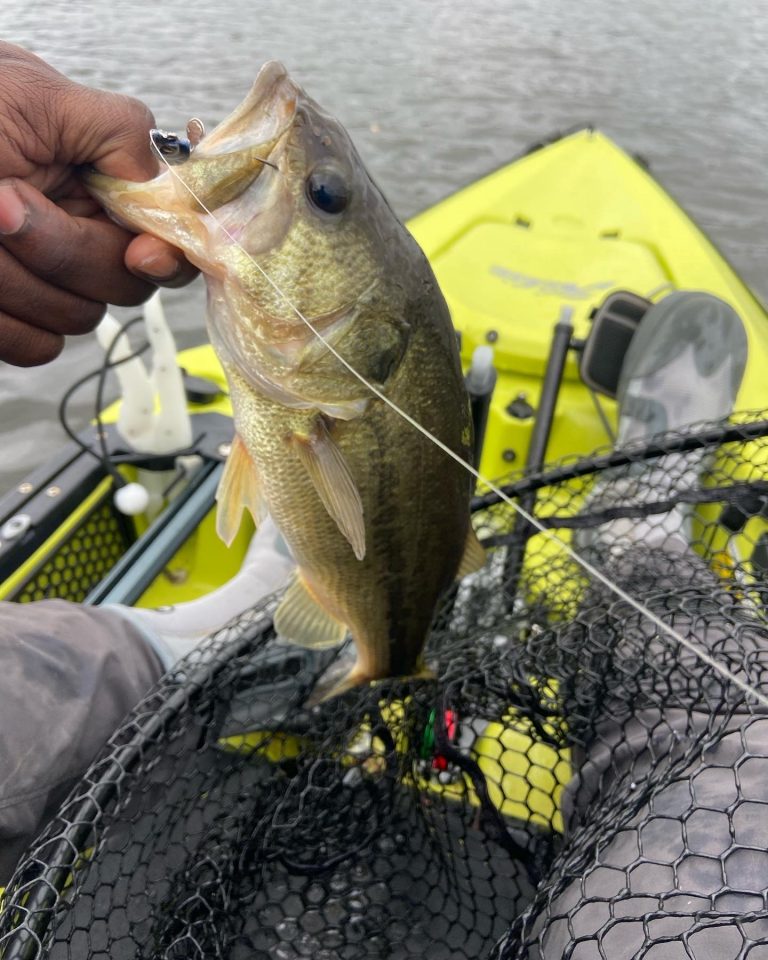 Rhode Island Fishing Report March 10, 2022 On The Water