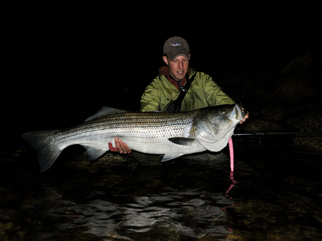3 Deadly Bait Rigs For Stripers - Game & Fish