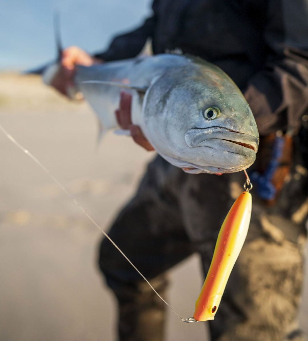 Heavy Casting Spoon Fishing Lure. Saltwater Mackerel & Bluefish Fishing  Spoon