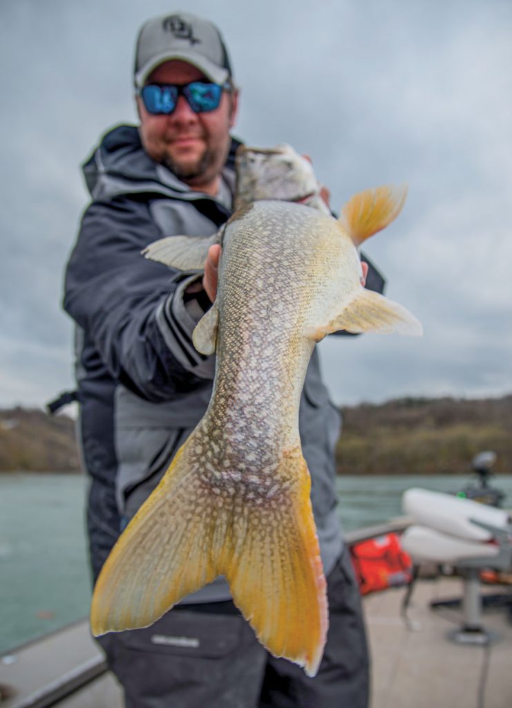 Niagara River Lake Trout On The Water