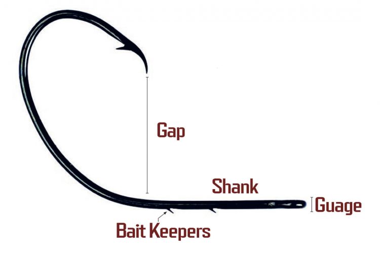 Circle Hook Guide For Striper Fishing On The Water