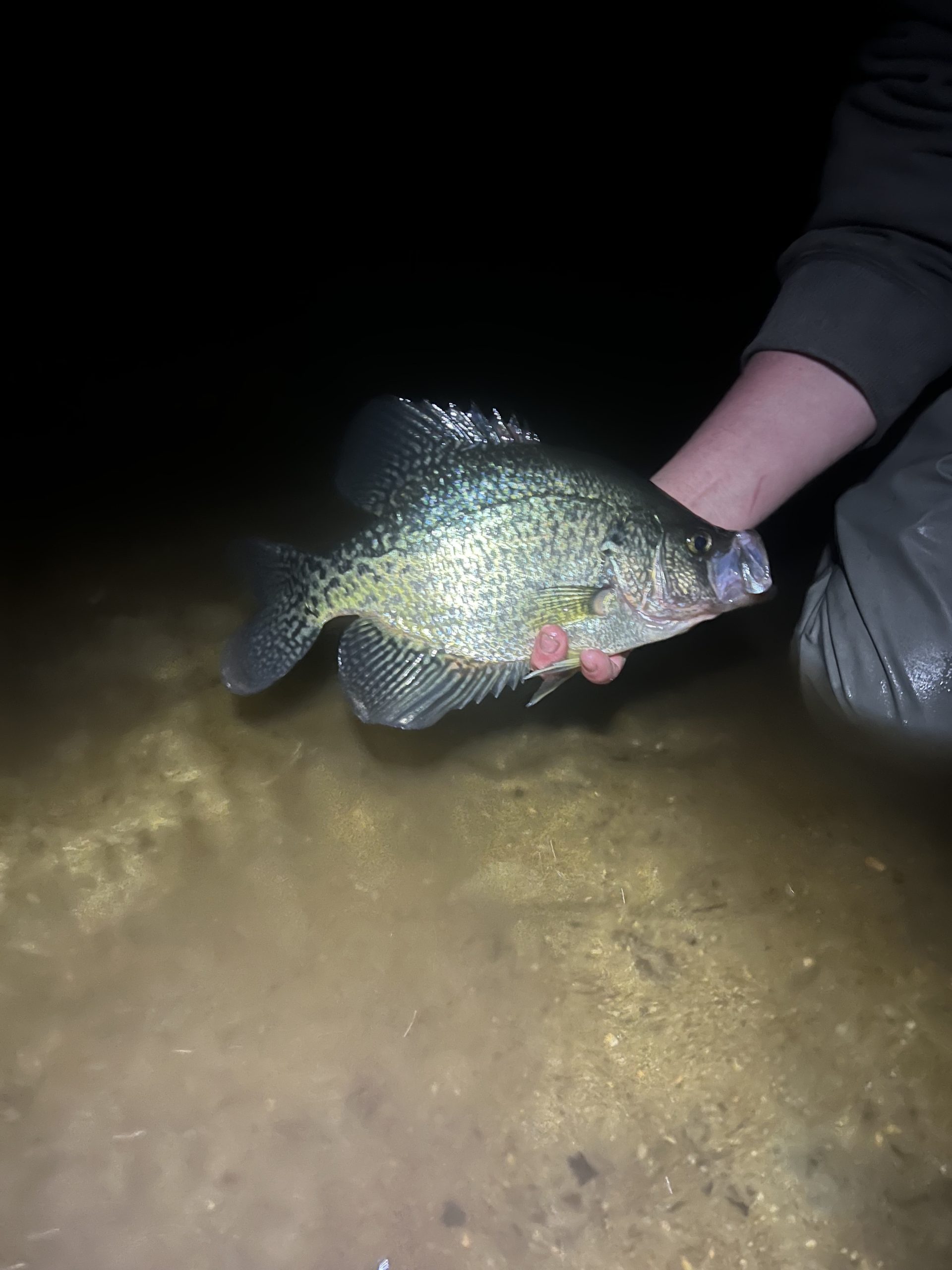 Cape Cod Fishing Report- March 30, 2023 - Vimarsana News
