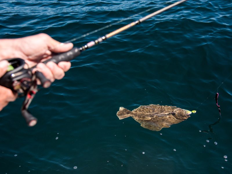 6 Rigs to Know for Fluke Season - On The Water