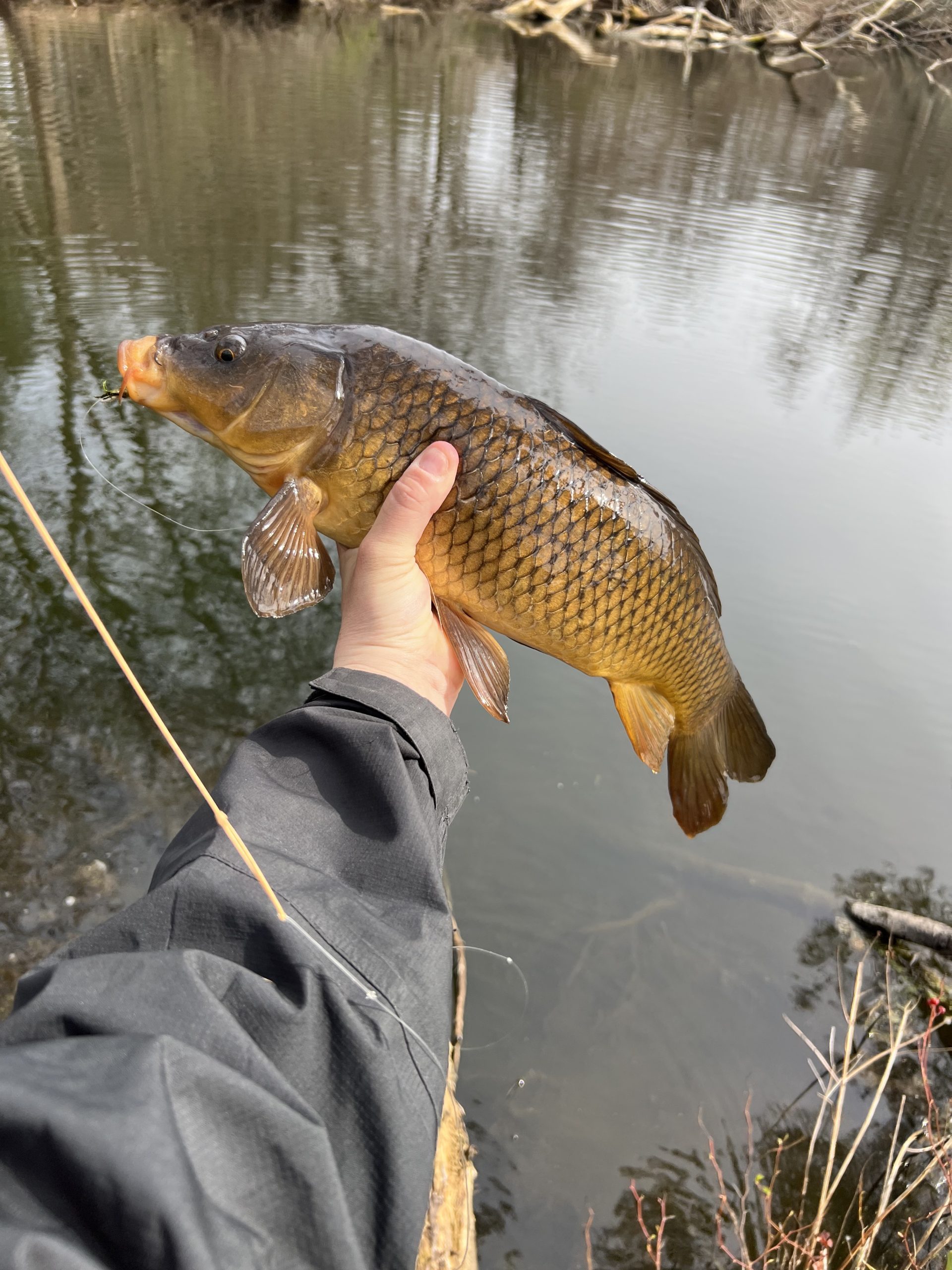 Eastern Long Island Fishing Report- April 13, 2023 - Vimarsana News