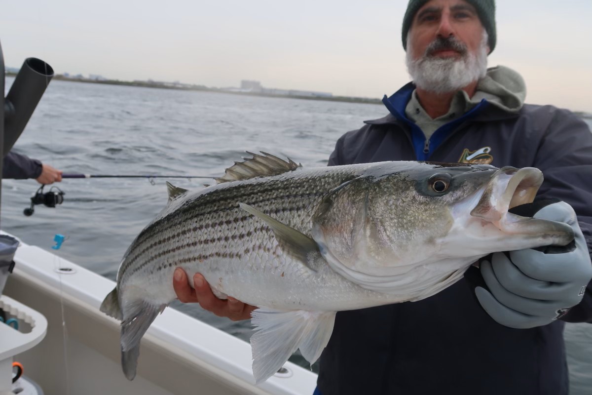 Western Long Island and NYC Fishing Report- May 4, 2023 - Vimarsana News