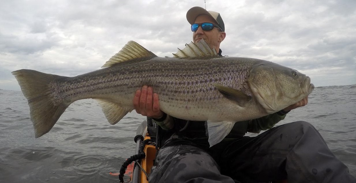 Northern New Jersey Fishing Report- June 15, 2023 - Vimarsana News