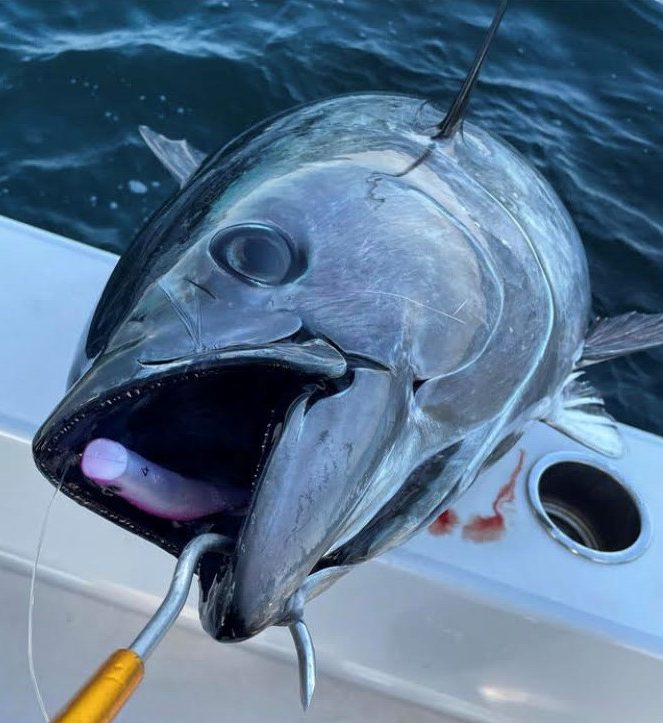 Northern New Jersey Fishing Report- July 6, 2023 - Vimarsana News