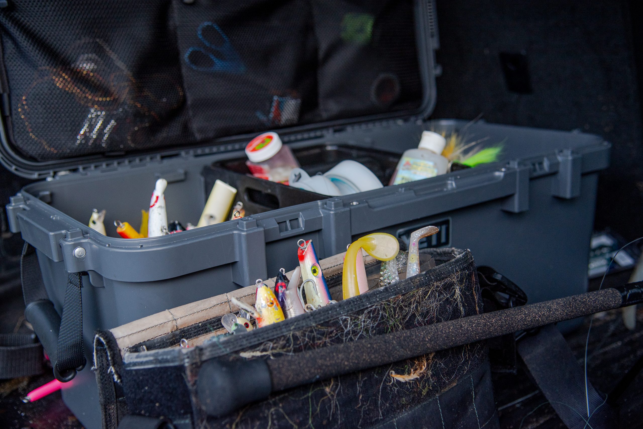 Six Essential Lures for Fall Run Surfcasting - Vimarsana News