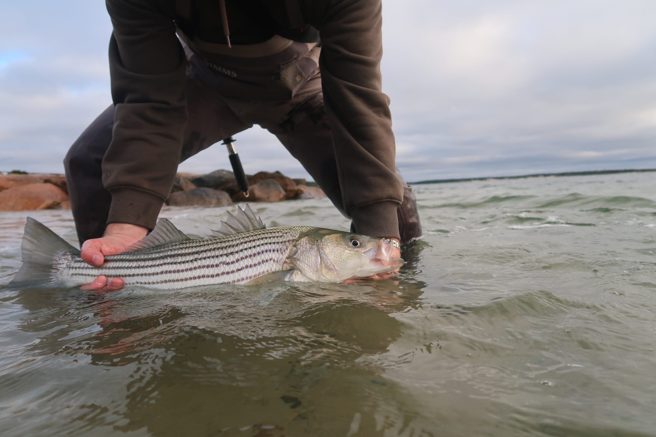 Southern New Jersey Fishing Report- October 26, 2023 - Vimarsana News