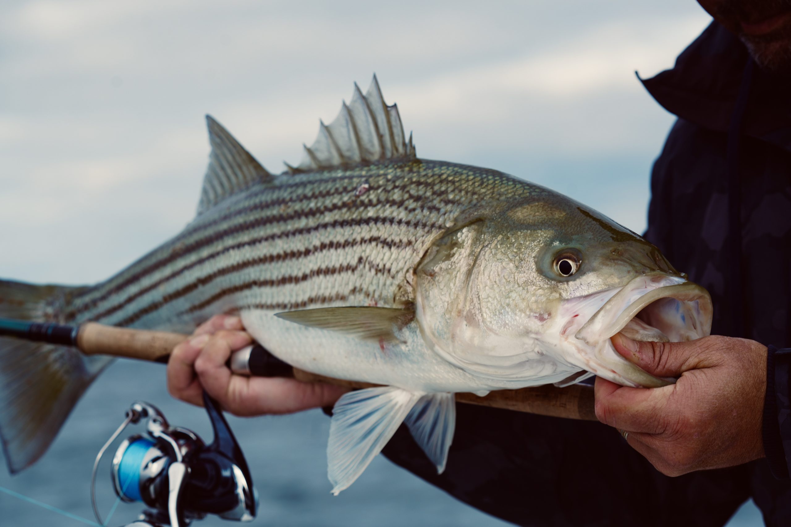 Connecticut Fishing Report- November 16, 2023 - Vimarsana News