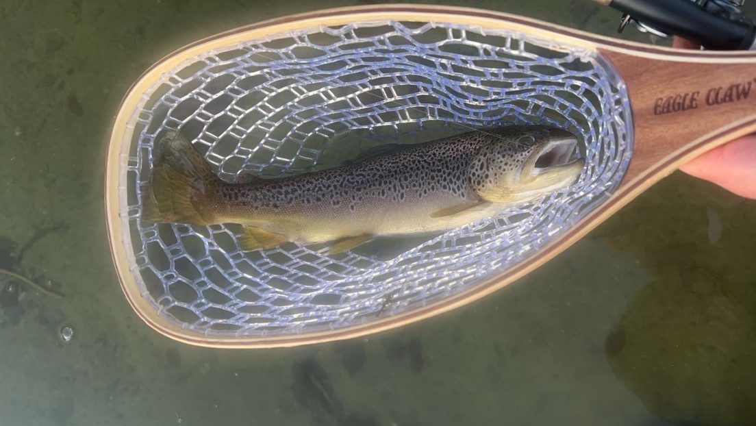 Cape Cod Fishing Report- November 30, 2023 - Vimarsana News