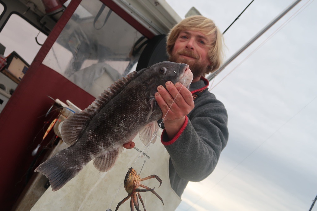 Cape Cod Fishing Report- November 9, 2023 - Vimarsana News