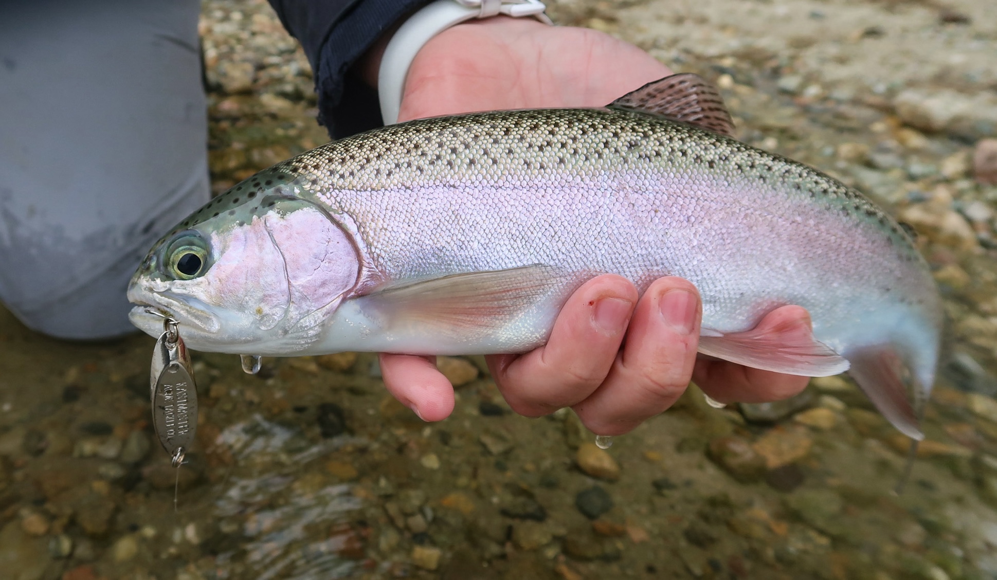 Rhode Island Fishing Report- January 11, 2024 - Vimarsana News